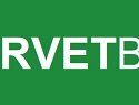 Forvetbet Nasıl Site